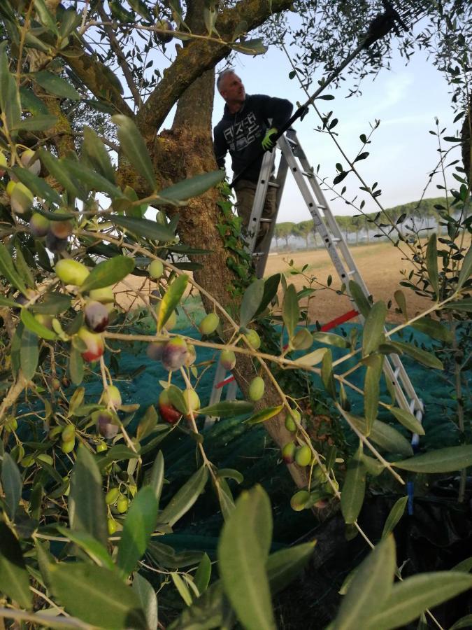 Il Podere Di Sole Roccastrada Exterior foto