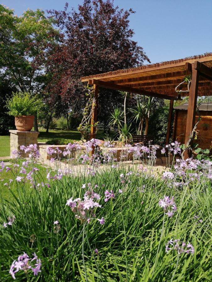 Il Podere Di Sole Roccastrada Exterior foto